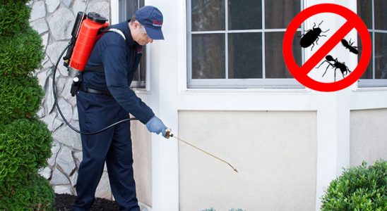 Evka 4 Akrep İlaçlama böcek ilaçlama ve haşere kontrolü — ilaclama-tr.com